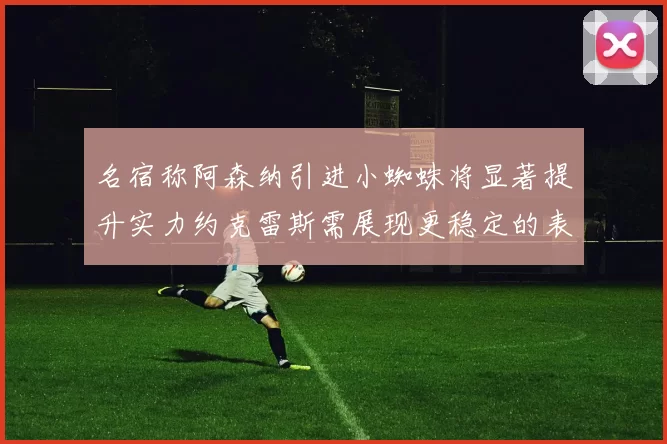 名宿称阿森纳引进小蜘蛛将显著提升实力约克雷斯需展现更稳定的表现
