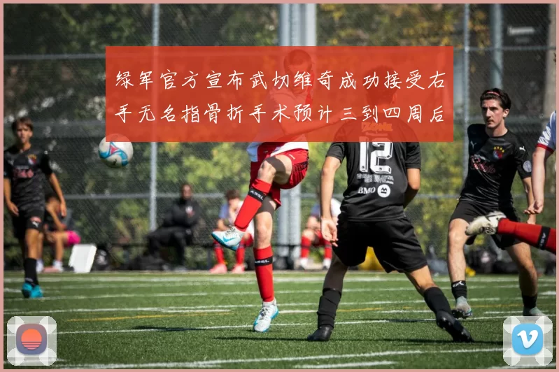 绿军官方宣布武切维奇成功接受右手无名指骨折手术预计三到四周后复查
